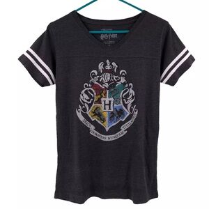 Harry Potter Hogwarts T-shirt Grey with Class Logo XL